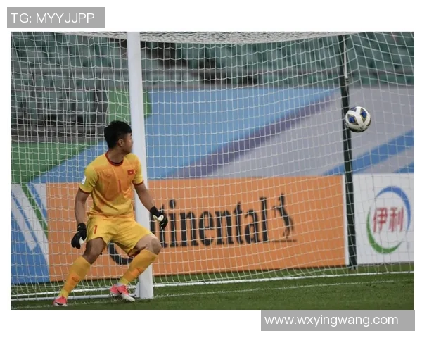 泰王杯精彩对决回顾泰国队与越南队的激烈比赛录像分享